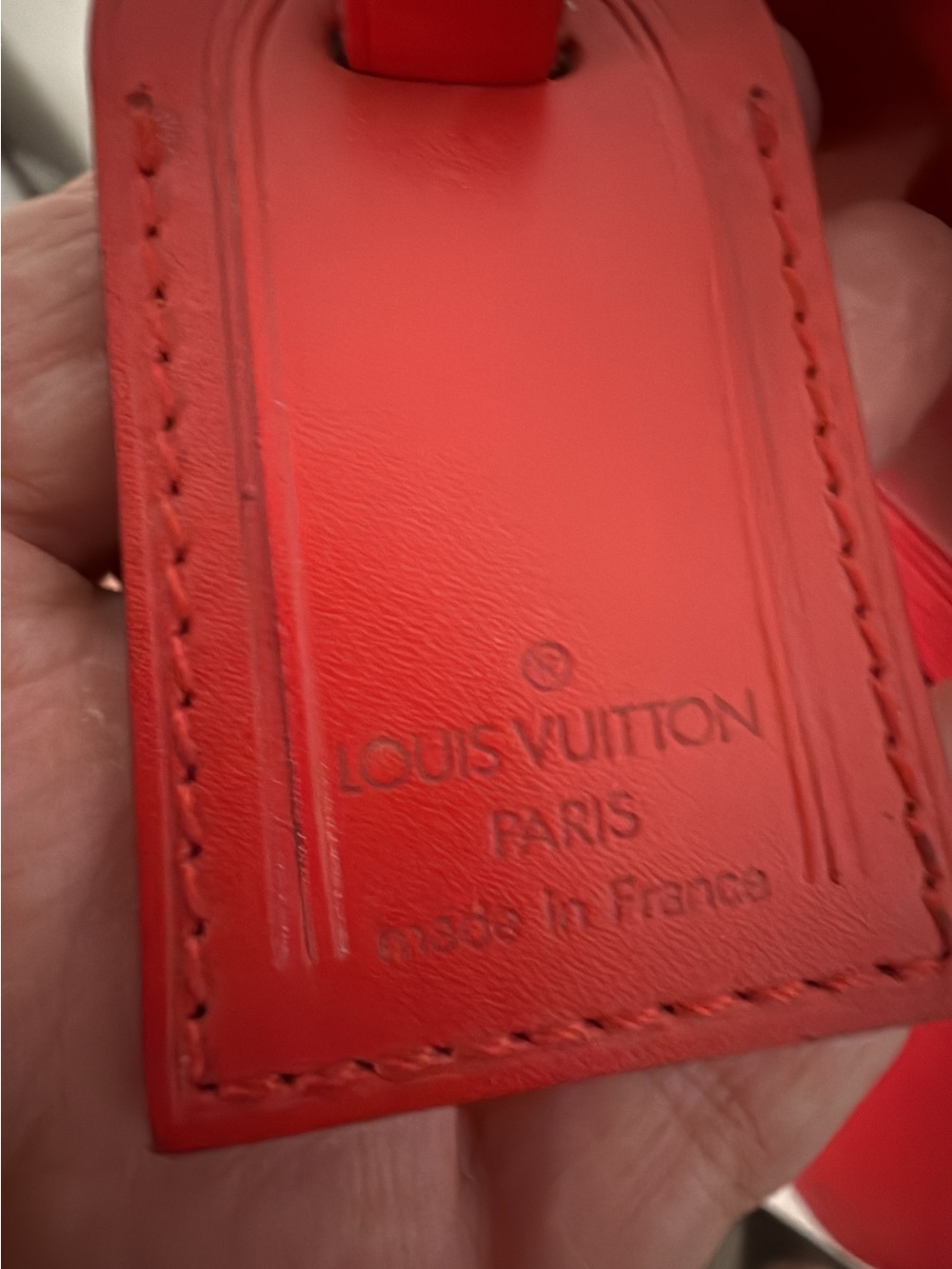 Louis Vuitton Louis Vuitton Riviera Bag, Epi Leather Handbag collectors edition - Picture 13 of 15